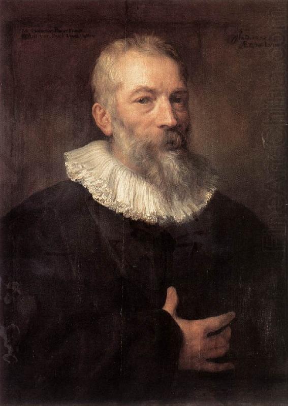 Portrait of the Artist Marten Pepijn dfg, DYCK, Sir Anthony Van